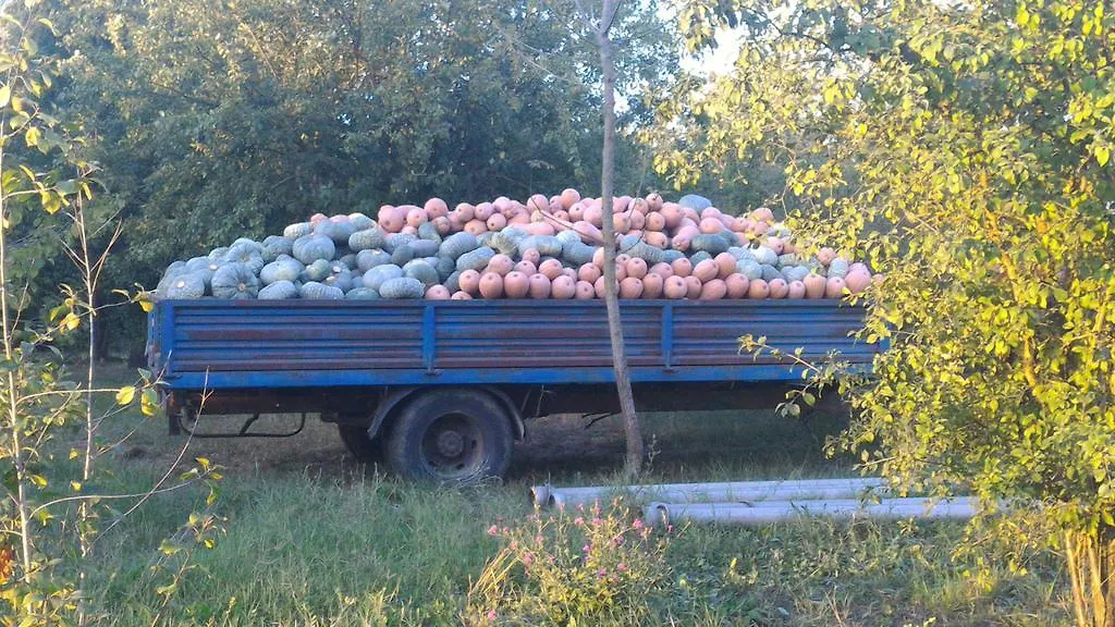 Agriturismo La Fattoria Del Boschetto Fontanellato Séjour à la campagne