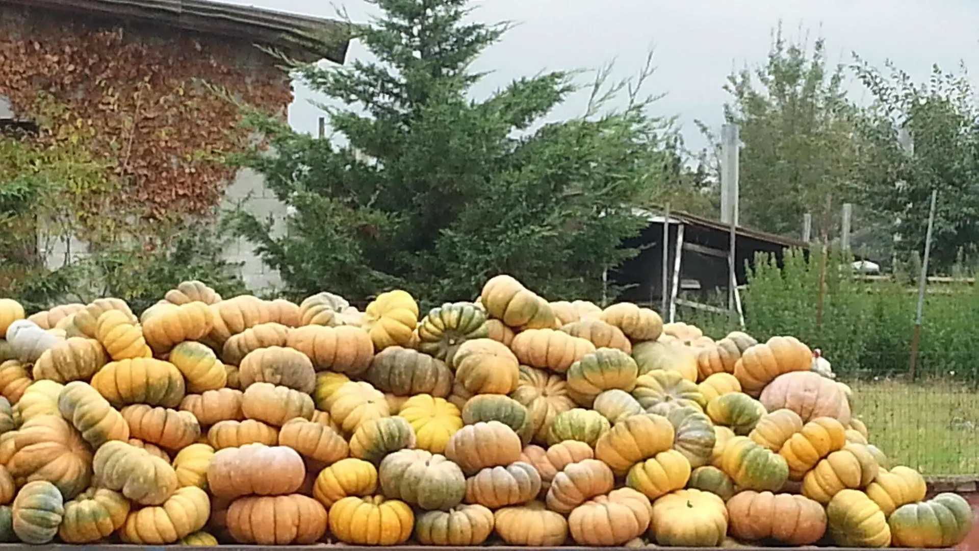 Agriturismo La Fattoria Del Boschetto 폰타넬라토 이탈리아